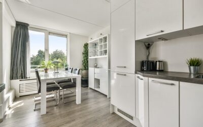 Sfide e soluzioni per gli elettrodomestici in spazi piccoli